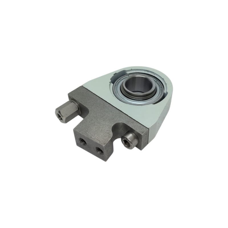 GMF20981