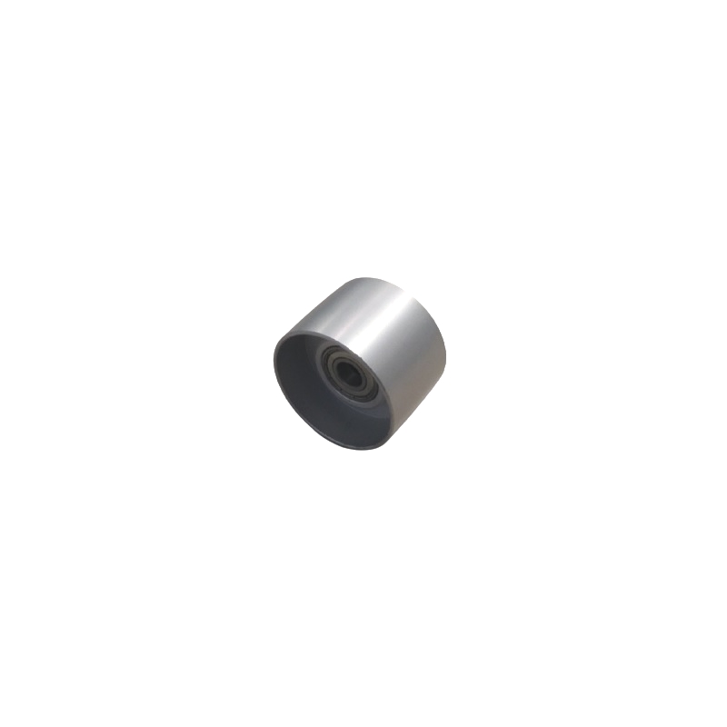 GMF50809